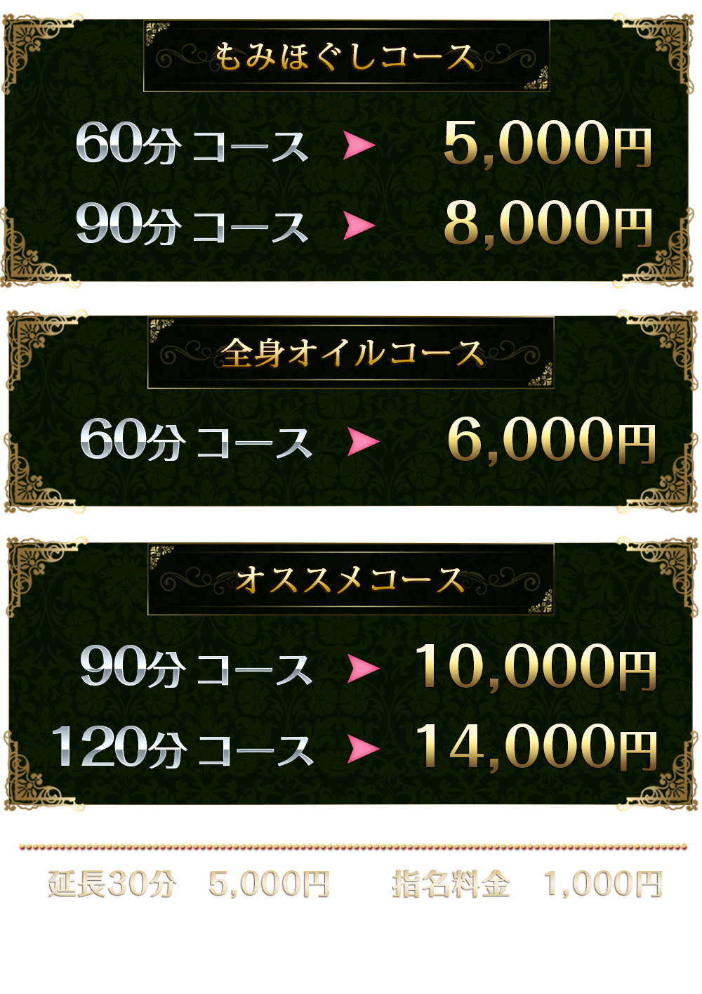 ヒカリ 料金システム